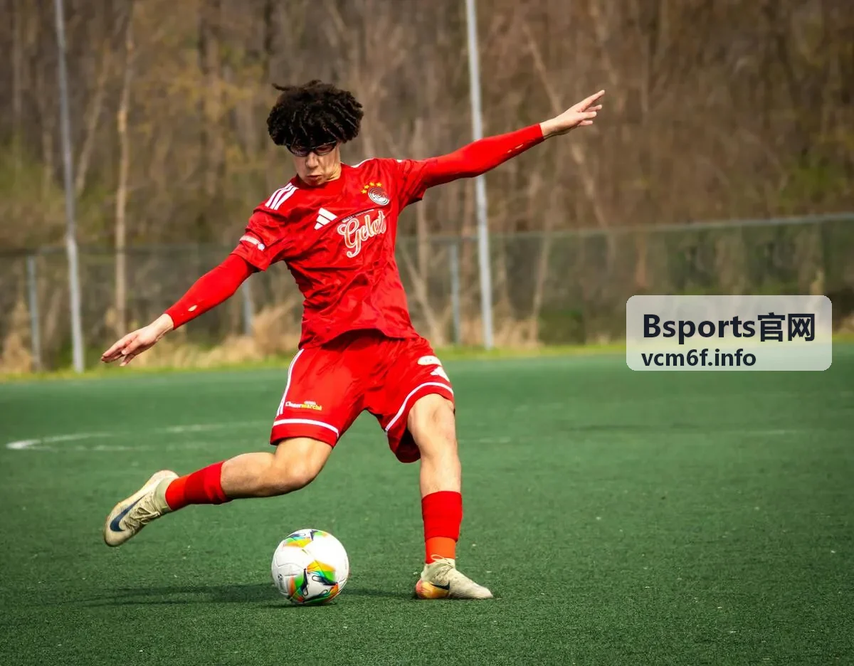 格斗赛事付费观看说明 — Bsports官网